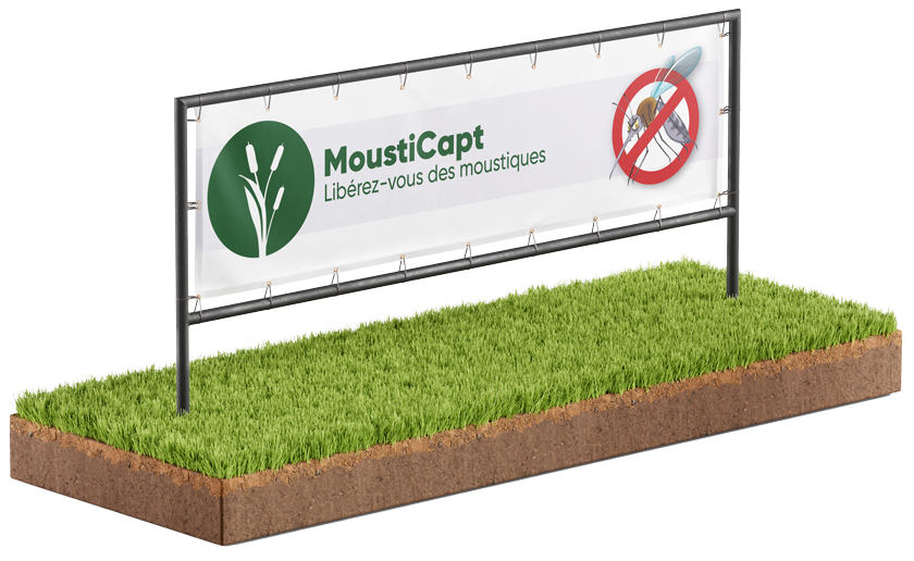 bache-mousticapt bache mousticapt