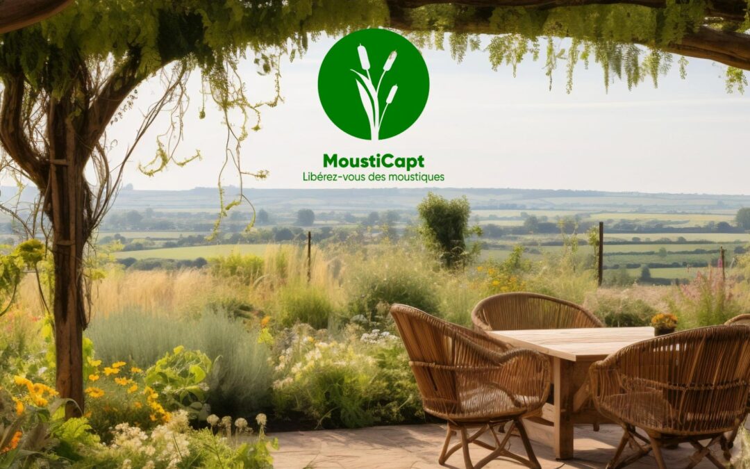 Image mousticapt